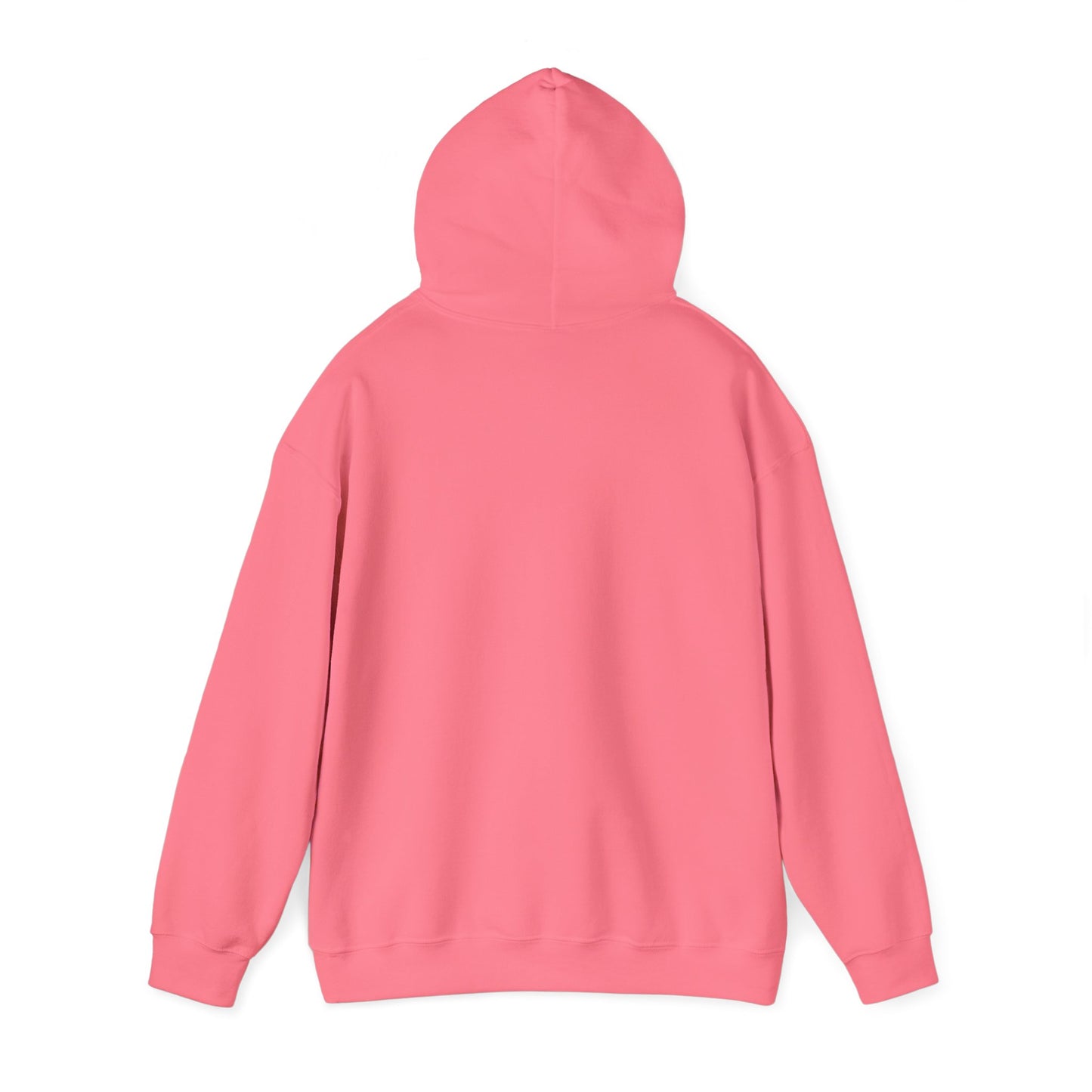 Unisex Hoodie | 80's Throwback | Bull Moose Bicycles