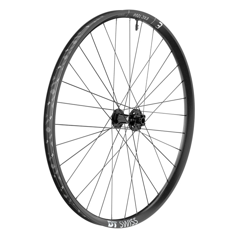 DT Swiss EXC 1200 Classic Front Wheel - 29" 15 x 110mm 6-Bolt Black