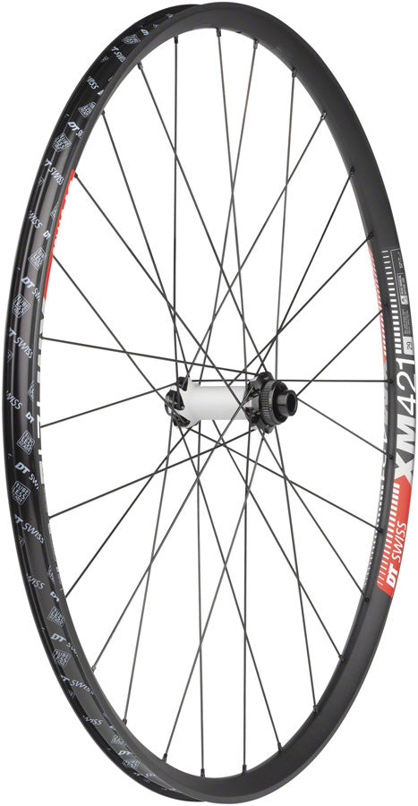 DT Swiss 350/XM421 Front Wheel - 29" 15 x 110mm Center Lock Black