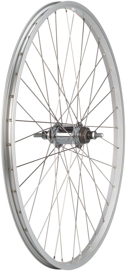 Quality Wheels Value Single Wall Series Coaster Brake Rear Wheel - 26" 3/8" x 124mm Coaster Brake 3 Prong Cog Silver 36H