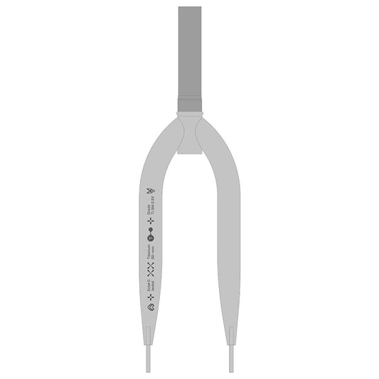 Eclat Jackal Ten Rigid Fork 20 1-1/8 Rake: 10mm Clear