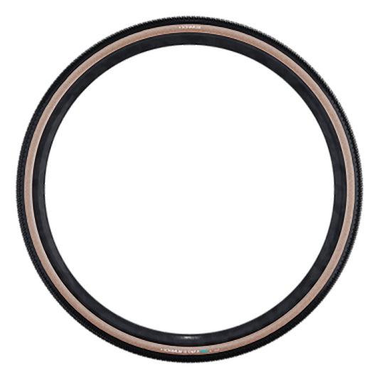 Schwalbe G-One R Tire - 700 x 40 Tubeless Folding BLK/Transparent Evolution Line Pro Addix Race