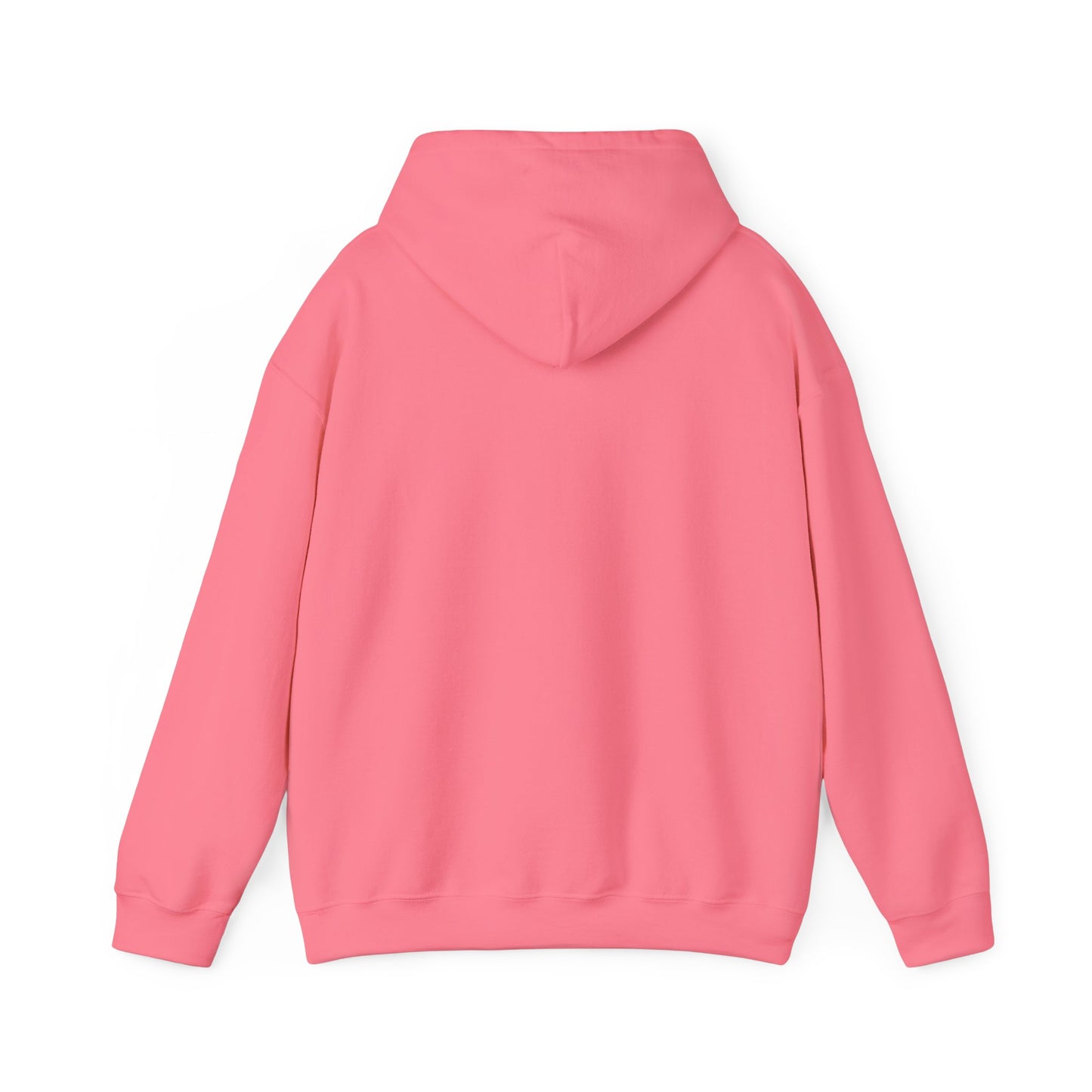 Unisex Hoodie | Off the Path | Bull Moose Bicycles