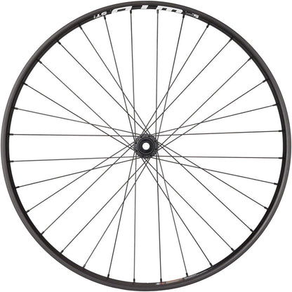Quality Wheels Bear Pawls / WTB ST i30 Front Wheel - 29" 15 x 110mm Center-Lock BLK 32H