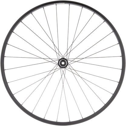 Quality Wheels Value Double Wall Series Disc Front Wheel - 700 12 x 100mm Center-Lock BLK 28H
